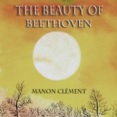 The Beauty of Beethoven artwork