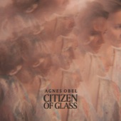 Agnes Obel - Citizen Of Glass - Instrumental