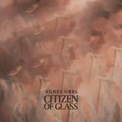 Citizen of Glass (Instrumental) - Single - Agnes Obel