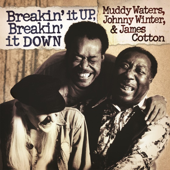 Cover artwork for Got My Mojo Workin'