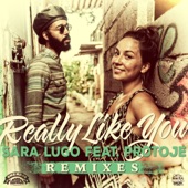 Really Like You (Remixes) artwork