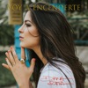 Voy a encenderte - Single