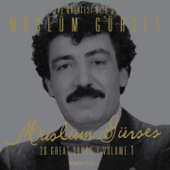 The Greatest Hits of Müslüm Gürses, Vol. 1 (20 Great Songs) - Müslüm Gürses