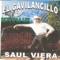 Nico Samano - Saul Viera El Gavilancillo lyrics