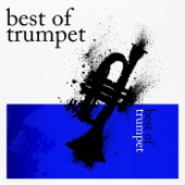 Trumpet Concerto in D Major, TWV. 51:D7: I. Adagio artwork