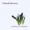 Chuck Brown - Best of Chuck Brown, Live Your Life Today