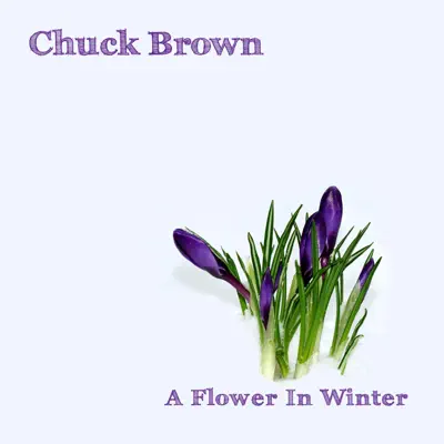 A Flower in Winter - Chuck Brown A Flower in Winter - Chuck Brown
