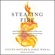 Steven Kotler & Jamie Wheal - Stealing Fire: How Silicon Valley, the Navy SEALs, and Maverick Scientists Are Revolutionizing the Way We Live and Work (Unabridged)