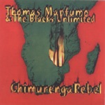 Thomas Mapfumo - Baba Vevana