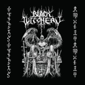 Black Witchery - Curse of Malignancy