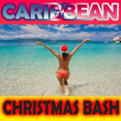 Caribbean Christmas Bash artwork