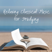 Relaxing Classical Music for Studying - Hodozsò Norbert, Csabay Domonkos & Narihito Mureda