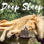 Deep Sleep Aid Brainwave Entrainment Meditation Treat Insomnia with Nature Sounds - Isochronic Tones Binaural Beats artwork