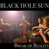 Black Hole Sun - Single album lyrics, reviews, download