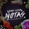 Notas - J-King & Lyan lyrics