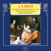 Bach: Conciertos de Brandemburgo No. 3, 5 y 6 - Orquesta de Cámara Romana & Wilhem Hertz