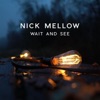 Wait and See - Single