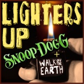 Lighters Up (feat. Snoop Dogg) artwork