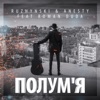 Ruzhynski - Полум'я (feat. Roman Duda)