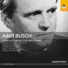 Busch: Complete Music for Solo Piano album lyrics, reviews, download