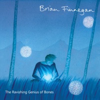 The Ravishing Genius of Bones by Brian Finnegan on Apple Music