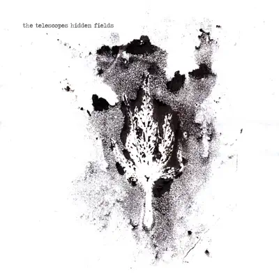 Hidden Fields - The Telescopes