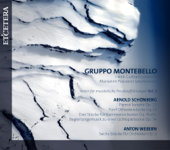 Sechs Orchesterstücke, Op. 6: III. Mässig - Gruppo Montebello & Henk Guittart