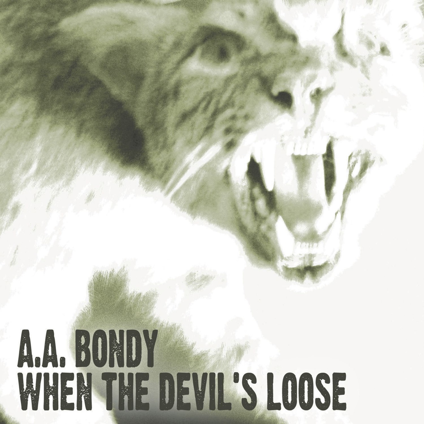 When the Devil's Loose by A.A. Bondy