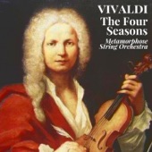 The Four Seasons, Violin Concerto No. 1 in E Major, RV 269 "Spring": II. Largo e pianissimo sempre artwork