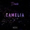 Camelia - Doumea lyrics