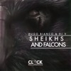 Sheikhs and Falcons - Single