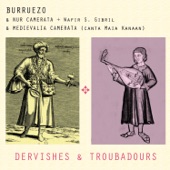 Dervishes & Troubadors artwork