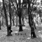 Golpes Bajos - Ernie lyrics