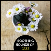 Soothing Sounds of Jazz – Calming Music to Unwind Stress, Early Morning Jazz, Relaxation with Instrumental Piano artwork