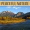 Calm Soul - Nature Sounds Paradise lyrics