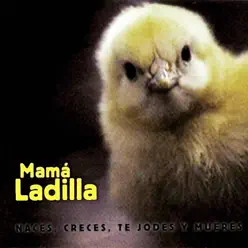 Naces, Creces, Te Jodes y Mueres - Mama Ladilla