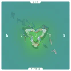 Fire (Remixes) - Single - 3LAU