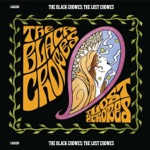 The Black Crowes - If It Ever Stops Raining