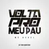 Volta pro Meu Pau song lyrics