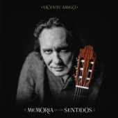 Las Cuatro Lunas (with Pedro el Granaíno) - Vicente Amigo