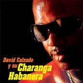 David Calzado y Su Charanga Habanera (Remasterizado) artwork