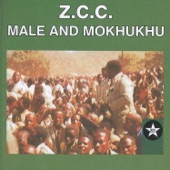 Tiko Hinkwaro (feat. ZCC Male Choir) artwork