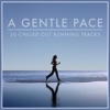 A Gentle Pace - Chilled Out Running Tracks (Instrumental)