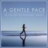 A Gentle Pace - Chilled Out Running Tracks (Instrumental) - Verschillende artiesten
