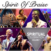 Spiritual Celebration Vol 1 artwork