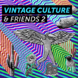 Vintage Culture & Earstrip & Torha - Party Rockin (Esbórnia)