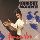 Flamenco Vivo (Esencias Flamencas) artwork