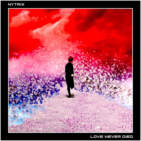 Cover artwork for Love Never Died