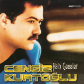 Hain Geceler - Cengiz Kurtoğlu