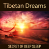 Tibetan Dreams: Secret of Deep Sleep, Tibetan Bowls, Native American Flute, Lucid Dreaming Hypnosis - Native American Music Consort